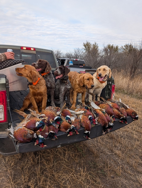 2024 UGUIDE Week 4 Crop & Pheasant Harvest Report by Camp